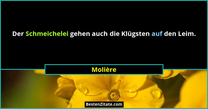Der Schmeichelei gehen auch die Klügsten auf den Leim.... - Molière