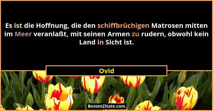 Es ist die Hoffnung, die den schiffbrüchigen Matrosen mitten im Meer veranlaßt, mit seinen Armen zu rudern, obwohl kein Land in Sicht ist.... - Ovid