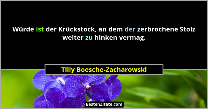 Würde ist der Krückstock, an dem der zerbrochene Stolz weiter zu hinken vermag.... - Tilly Boesche-Zacharowski