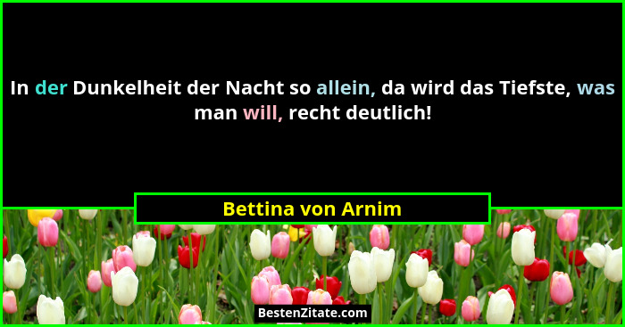 In der Dunkelheit der Nacht so allein, da wird das Tiefste, was man will, recht deutlich!... - Bettina von Arnim