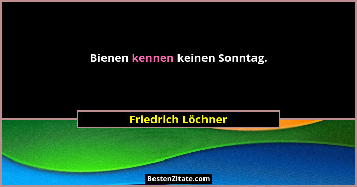 Bienen kennen keinen Sonntag.... - Friedrich Löchner