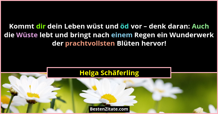 Kommt dir dein Leben wüst und öd vor – denk daran: Auch die Wüste lebt und bringt nach einem Regen ein Wunderwerk der prachtvollst... - Helga Schäferling