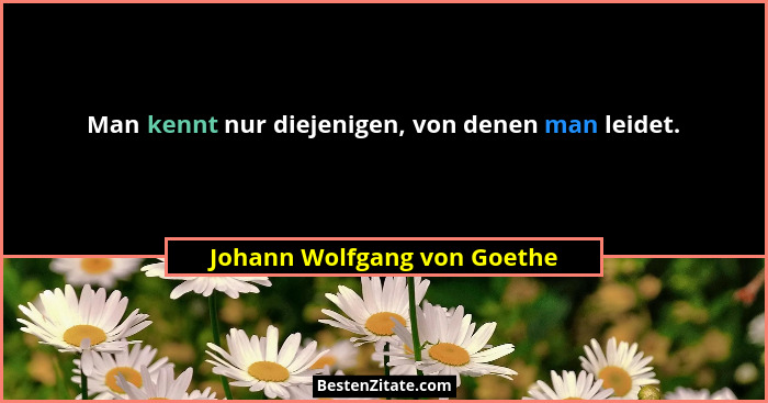 Man kennt nur diejenigen, von denen man leidet.... - Johann Wolfgang von Goethe