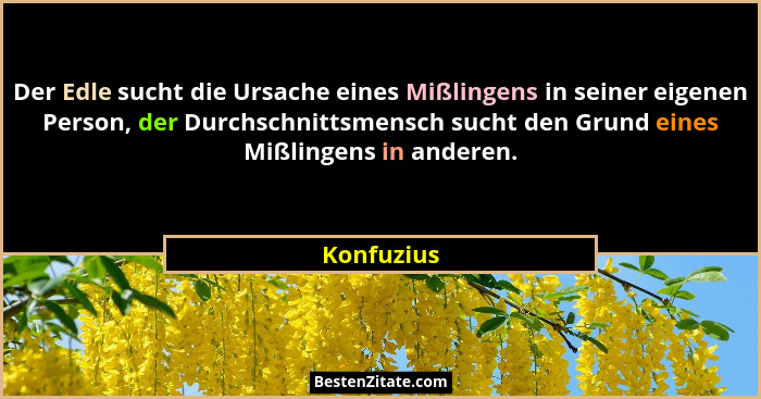 Der Edle sucht die Ursache eines Mißlingens in seiner eigenen Person, der Durchschnittsmensch sucht den Grund eines Mißlingens in anderen.... - Konfuzius