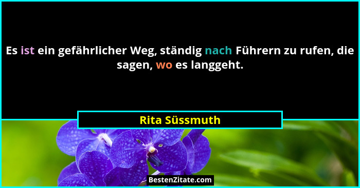 Es ist ein gefährlicher Weg, ständig nach Führern zu rufen, die sagen, wo es langgeht.... - Rita Süssmuth