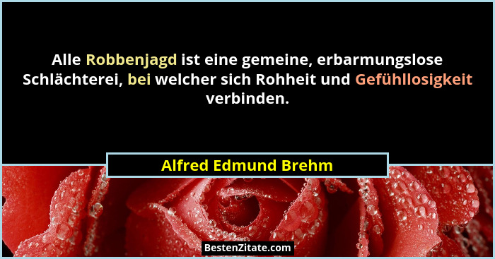 Alle Robbenjagd ist eine gemeine, erbarmungslose Schlächterei, bei welcher sich Rohheit und Gefühllosigkeit verbinden.... - Alfred Edmund Brehm
