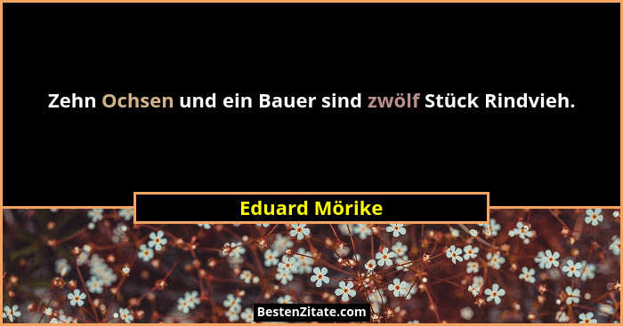 Zehn Ochsen und ein Bauer sind zwölf Stück Rindvieh.... - Eduard Mörike