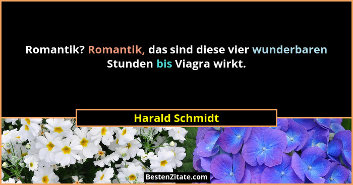 Romantik? Romantik, das sind diese vier wunderbaren Stunden bis Viagra wirkt.... - Harald Schmidt
