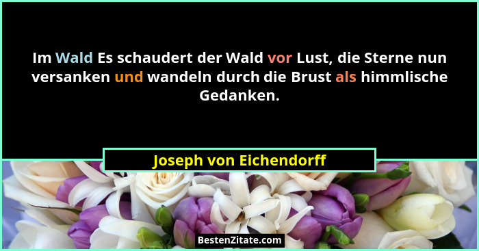Im Wald Es schaudert der Wald vor Lust, die Sterne nun versanken und wandeln durch die Brust als himmlische Gedanken.... - Joseph von Eichendorff
