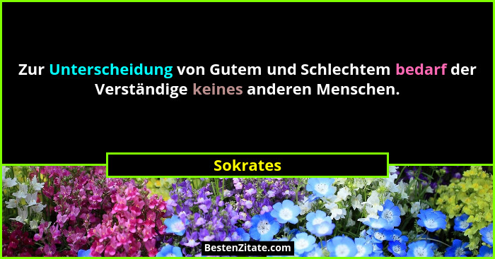 Zur Unterscheidung von Gutem und Schlechtem bedarf der Verständige keines anderen Menschen.... - Sokrates