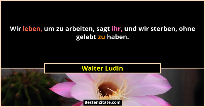 Wir leben, um zu arbeiten, sagt ihr, und wir sterben, ohne gelebt zu haben.... - Walter Ludin