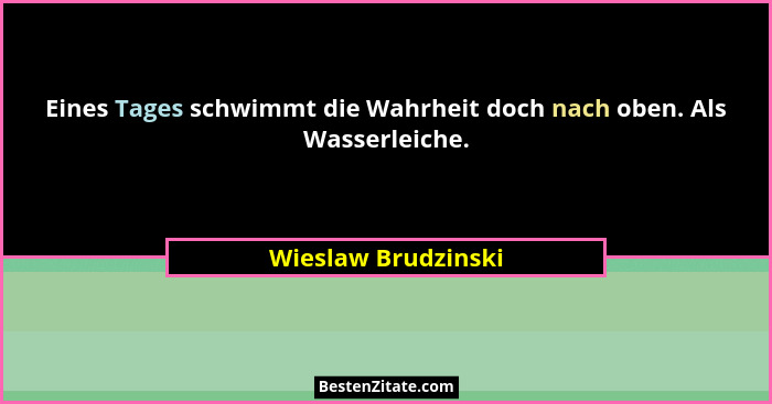 Eines Tages schwimmt die Wahrheit doch nach oben. Als Wasserleiche.... - Wieslaw Brudzinski