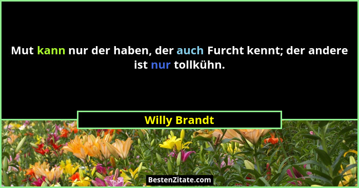 Mut kann nur der haben, der auch Furcht kennt; der andere ist nur tollkühn.... - Willy Brandt