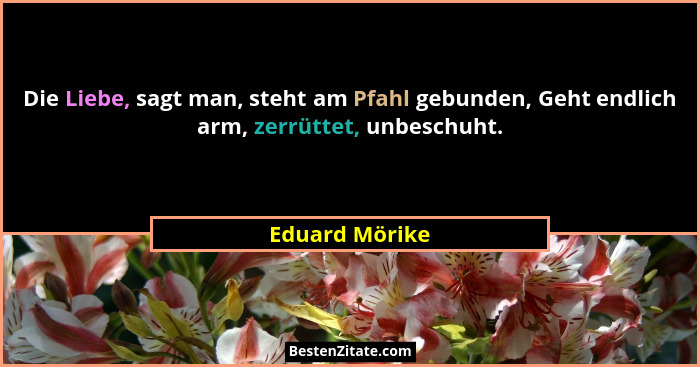 Die Liebe, sagt man, steht am Pfahl gebunden, Geht endlich arm, zerrüttet, unbeschuht.... - Eduard Mörike
