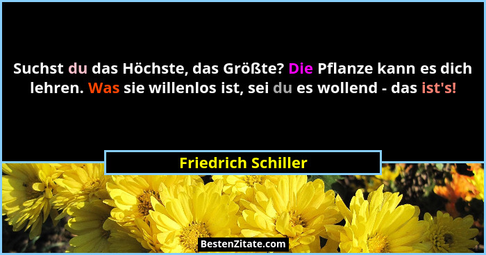 Suchst du das Höchste, das Größte? Die Pflanze kann es dich lehren. Was sie willenlos ist, sei du es wollend - das ist's!... - Friedrich Schiller