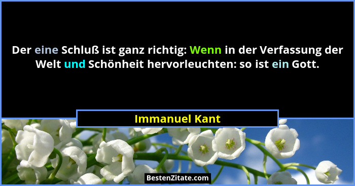 Der eine Schluß ist ganz richtig: Wenn in der Verfassung der Welt und Schönheit hervorleuchten: so ist ein Gott.... - Immanuel Kant