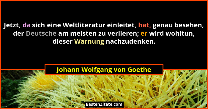 Jetzt, da sich eine Weltliteratur einleitet, hat, genau besehen, der Deutsche am meisten zu verlieren; er wird wohltun, d... - Johann Wolfgang von Goethe