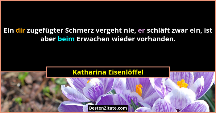 Ein dir zugefügter Schmerz vergeht nie, er schläft zwar ein, ist aber beim Erwachen wieder vorhanden.... - Katharina Eisenlöffel