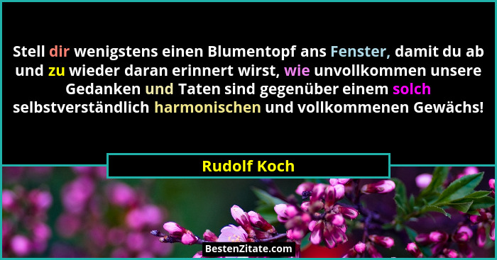 Stell dir wenigstens einen Blumentopf ans Fenster, damit du ab und zu wieder daran erinnert wirst, wie unvollkommen unsere Gedanken und... - Rudolf Koch