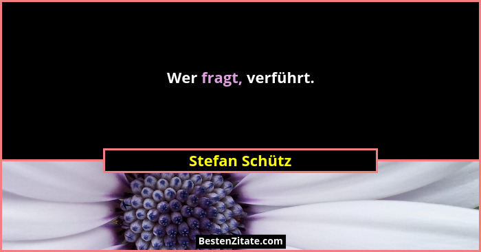 Wer fragt, verführt.... - Stefan Schütz
