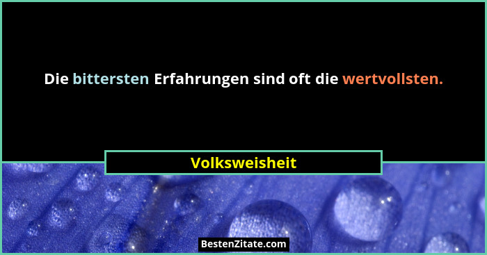 Die bittersten Erfahrungen sind oft die wertvollsten.... - Volksweisheit
