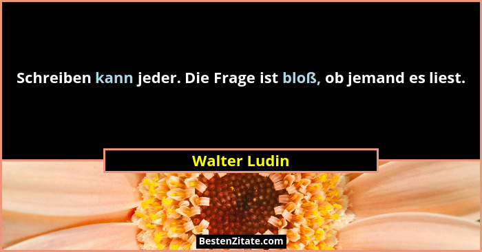 Schreiben kann jeder. Die Frage ist bloß, ob jemand es liest.... - Walter Ludin