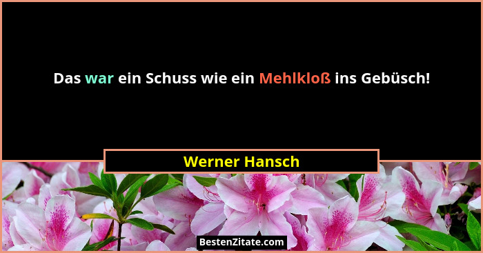 Das war ein Schuss wie ein Mehlkloß ins Gebüsch!... - Werner Hansch