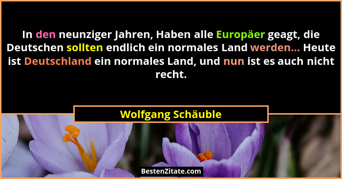 In den neunziger Jahren, Haben alle Europäer geagt, die Deutschen sollten endlich ein normales Land werden... Heute ist Deutschlan... - Wolfgang Schäuble