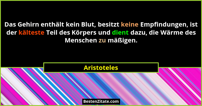 Das Gehirn enthält kein Blut, besitzt keine Empfindungen, ist der kälteste Teil des Körpers und dient dazu, die Wärme des Menschen zu mä... - Aristoteles