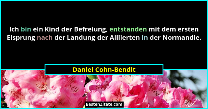 Ich bin ein Kind der Befreiung, entstanden mit dem ersten Eisprung nach der Landung der Alliierten in der Normandie.... - Daniel Cohn-Bendit