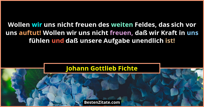 Wollen wir uns nicht freuen des weiten Feldes, das sich vor uns auftut! Wollen wir uns nicht freuen, daß wir Kraft in uns füh... - Johann Gottlieb Fichte