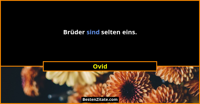 Brüder sind selten eins.... - Ovid