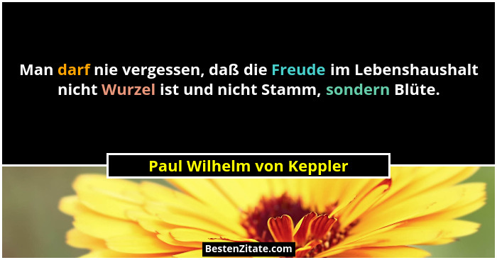 Man darf nie vergessen, daß die Freude im Lebenshaushalt nicht Wurzel ist und nicht Stamm, sondern Blüte.... - Paul Wilhelm von Keppler