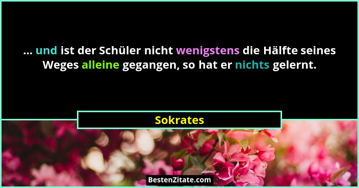 ... und ist der Schüler nicht wenigstens die Hälfte seines Weges alleine gegangen, so hat er nichts gelernt.... - Sokrates