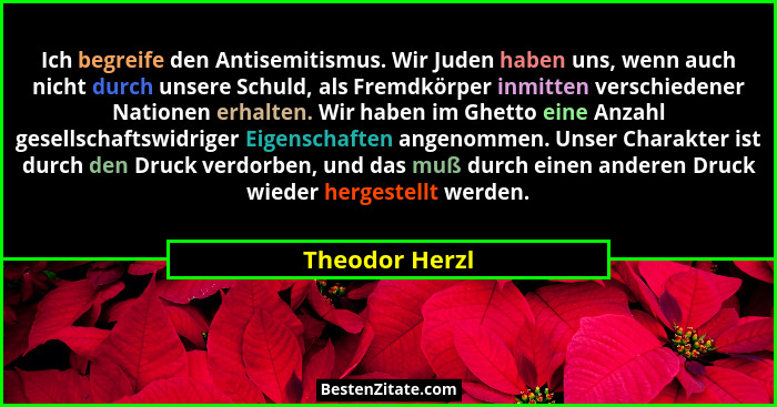 Ich begreife den Antisemitismus. Wir Juden haben uns, wenn auch nicht durch unsere Schuld, als Fremdkörper inmitten verschiedener Nati... - Theodor Herzl