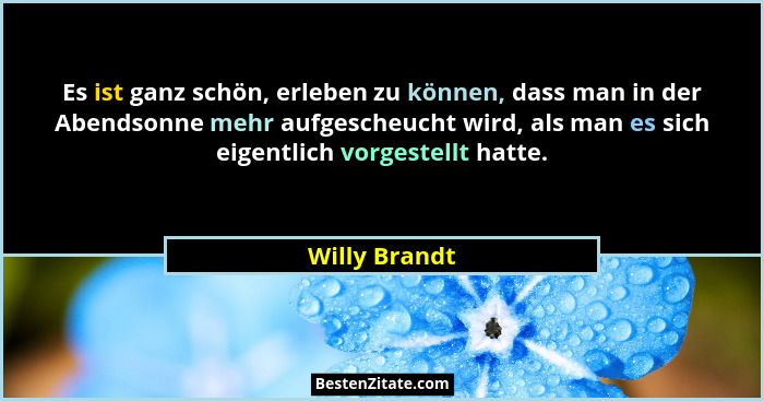 Es ist ganz schön, erleben zu können, dass man in der Abendsonne mehr aufgescheucht wird, als man es sich eigentlich vorgestellt hatte.... - Willy Brandt