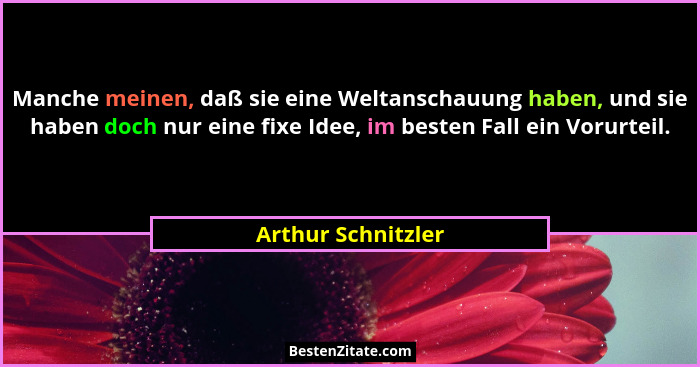Manche meinen, daß sie eine Weltanschauung haben, und sie haben doch nur eine fixe Idee, im besten Fall ein Vorurteil.... - Arthur Schnitzler