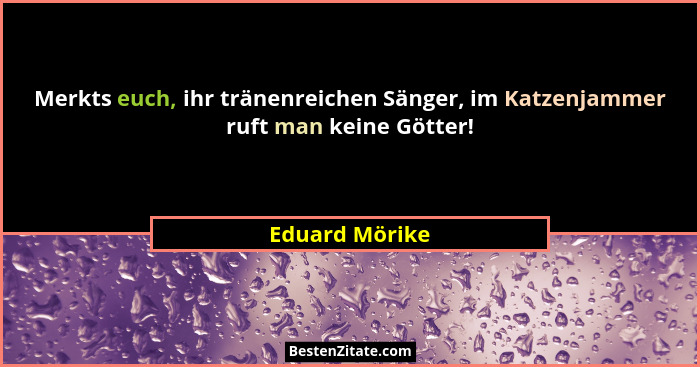 Merkts euch, ihr tränenreichen Sänger, im Katzenjammer ruft man keine Götter!... - Eduard Mörike