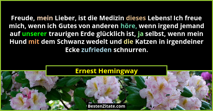 Freude, mein Lieber, ist die Medizin dieses Lebens! Ich freue mich, wenn ich Gutes von anderen höre, wenn irgend jemand auf unserer... - Ernest Hemingway