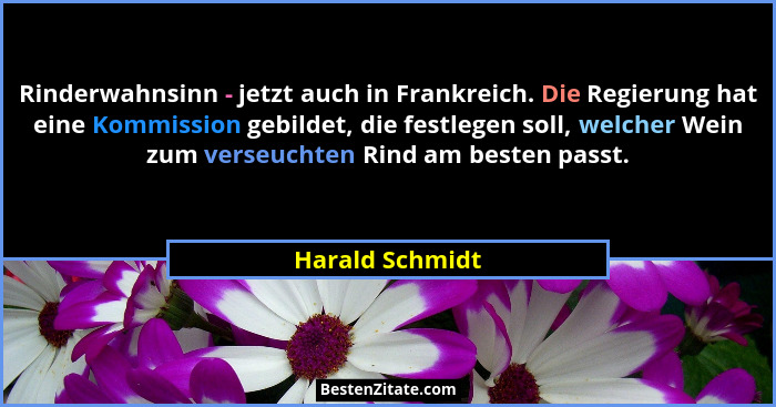 Rinderwahnsinn - jetzt auch in Frankreich. Die Regierung hat eine Kommission gebildet, die festlegen soll, welcher Wein zum verseucht... - Harald Schmidt