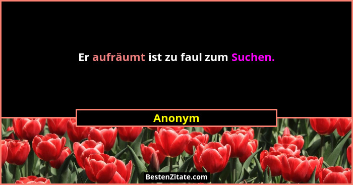Er aufräumt ist zu faul zum Suchen.... - Anonym