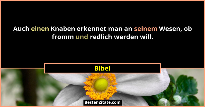 Auch einen Knaben erkennet man an seinem Wesen, ob fromm und redlich werden will.... - Bibel