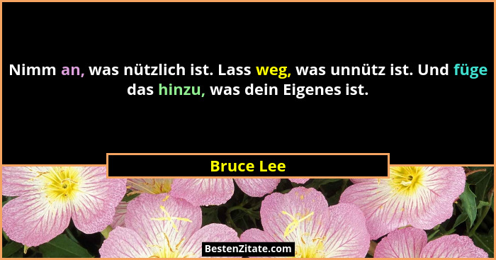 Nimm an, was nützlich ist. Lass weg, was unnütz ist. Und füge das hinzu, was dein Eigenes ist.... - Bruce Lee