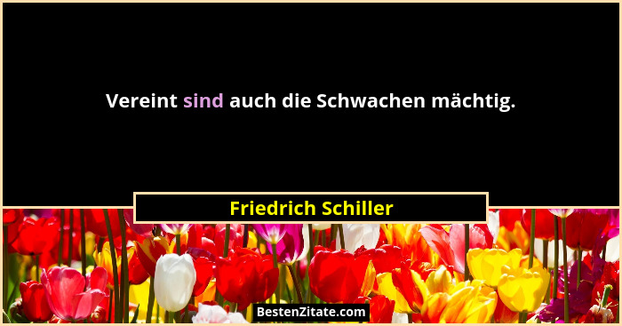 Vereint sind auch die Schwachen mächtig.... - Friedrich Schiller