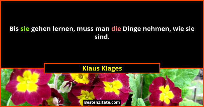 Bis sie gehen lernen, muss man die Dinge nehmen, wie sie sind.... - Klaus Klages