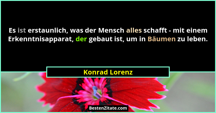 Es ist erstaunlich, was der Mensch alles schafft - mit einem Erkenntnisapparat, der gebaut ist, um in Bäumen zu leben.... - Konrad Lorenz