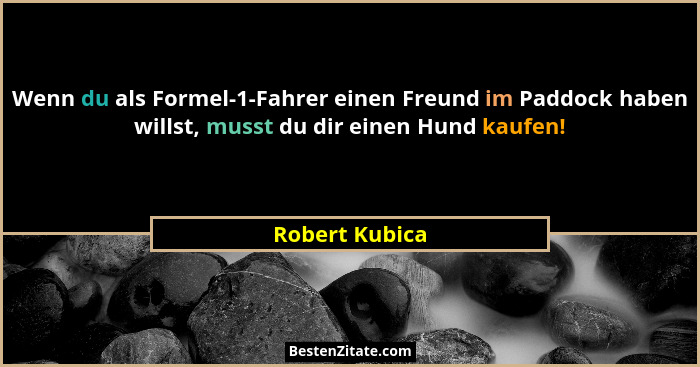 Wenn du als Formel-1-Fahrer einen Freund im Paddock haben willst, musst du dir einen Hund kaufen!... - Robert Kubica