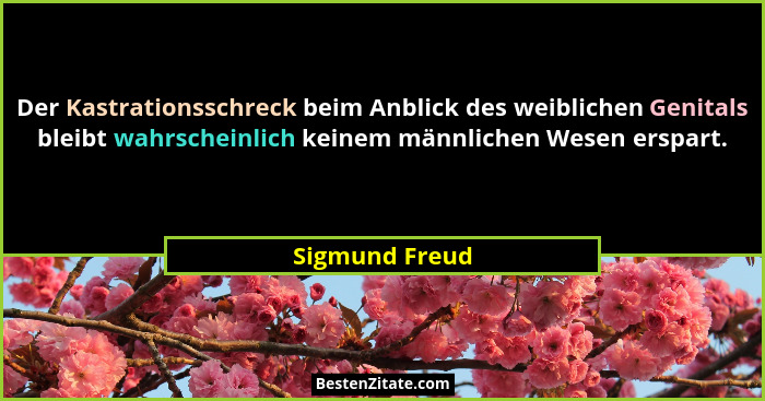 Der Kastrationsschreck beim Anblick des weiblichen Genitals bleibt wahrscheinlich keinem männlichen Wesen erspart.... - Sigmund Freud