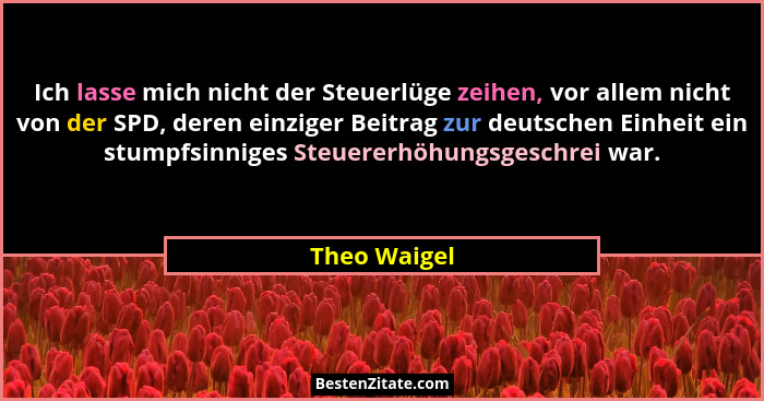 Ich lasse mich nicht der Steuerlüge zeihen, vor allem nicht von der SPD, deren einziger Beitrag zur deutschen Einheit ein stumpfsinniges... - Theo Waigel