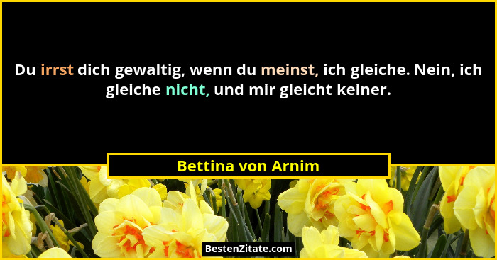 Du irrst dich gewaltig, wenn du meinst, ich gleiche. Nein, ich gleiche nicht, und mir gleicht keiner.... - Bettina von Arnim